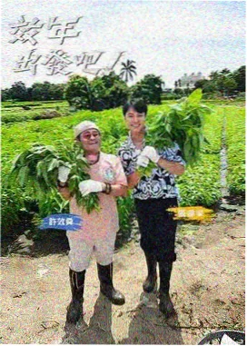 韩国悬疑片新作动态